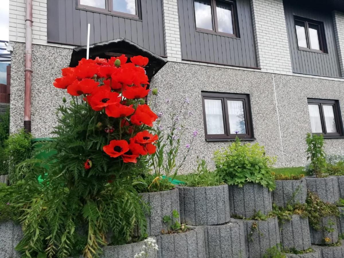 Ferienwohnung Suetovius Oberwiesenthal Dış mekan fotoğraf